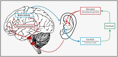 Transcranial Auricular Vagus Nerve Stimulation (taVNS) and Ear-EEG: Potential for Closed-Loop Portable Non-invasive Brain Stimulation
